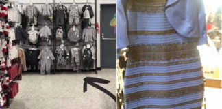 5 tấm hình từng khiến cư dân mạng “phát lú” cực mạnh giống như chiếc váy xanh đen – vàng trắng năm nào