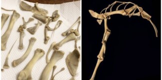 “Ảo” game quá đà, người chơi lấy xương gà KFC để sáng tạo vũ khí hủy diệt, đi săn lùng quái vật