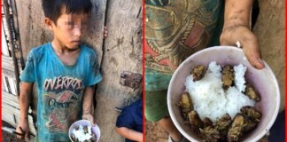 Bát cơm đầy ve sầu của cậu học trò nghèo vùng cao khiến dân mạng bùi ngùi, thương cảm