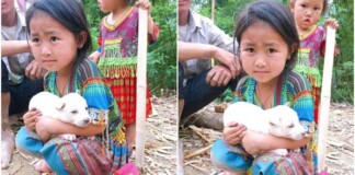Bé gái vùng cao giữ chặt chú chó nhỏ không bán khiến dân mạng thương cảm