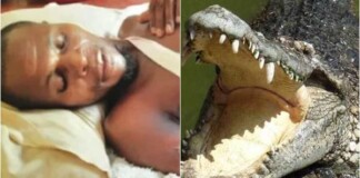 Bị đàn cá sấu ba con tấn công, nam thanh niên khiến CĐM sửng sốt khi dìm một chết đuối, dọa hai con “ôm đầu máu” chạy về