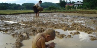 Bức ảnh con chờ mẹ làm đồng lay động cộng đồng mạng