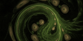 Các nhà khoa học phát hiện trạng thái vật chất thứ 5, mở ra tiềm năng mới về trí tuệ nhân tạo