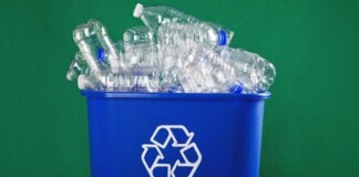 Các nhà khoa học tạo ra loại enzyme đột biến “ăn” gần xong 1 tấn chai nhựa chỉ sau vài giờ