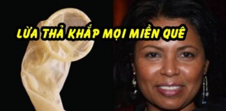 Câu chuyện “ăn cắp tinh trùng từ áo mưa để sinh con” hóa ra chỉ là cú lừa?