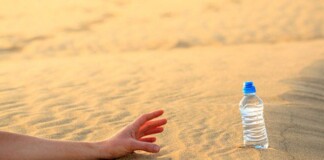 Câu hỏi phỏng vấn “hack não”: Trong sa mạc có 2 cốc nước, 1 ly nước tiểu của ngựa, 1 ly nước tiểu của người, bạn sẽ chọn cái nào để uống khi sắp chết khát?