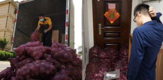 Cay cú vì bị cắm sừng, cô nàng gửi hẳn 1 tấn hành tây tới nhà người yêu cũ khiến cộng đồng mạng choáng váng: “Tôi khóc đủ rồi, giờ tới anh”