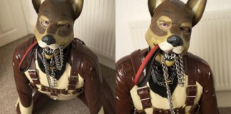 Chán làm người, nam thanh niên tự coi mình là chó, sống cuộc đời nhàn nhã vô ưu vô lo khiến CĐM kinh ngạc