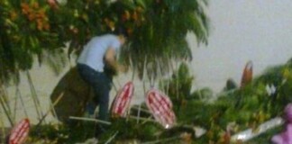 Choáng với hành động “hôi hoa” của người Sài Gòn tối 11/1