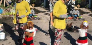 Chú chó nhỏ theo chủ ra chợ, thế nhưng chính chi tiết này lại khiến cộng đồng mạng bức xúc, tố chủ nhân ngược đãi động vật