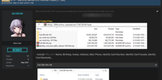 Chứng minh thư, ảnh selfie của hàng nghìn người Việt bị rao bán, thủ phạm chính là Pi Network?