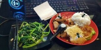 Chuyện gì sẽ xảy ra khi một con ruồi đậu trên thức ăn của bạn?