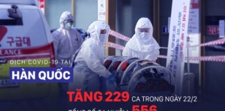 COVID-19: Diễn biến ngoài lãnh thổ TQ đáng lo ngại, Hàn Quốc tăng lên 556 ca nhiễm bệnh