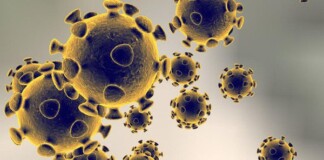 COVID-19 – Phép thử của tự nhiên, giúp chúng ta nhận ra bản chất của con người: Sự giàu có không mua được ý thức, kim tiền có lúc phải nao núng trước một cuộn giấy vệ sinh…