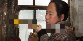 Cứu rắn độc rồi mang về “quấn quýt”, người phụ nữ không ngờ rằng đó là bước ngoặt đen tối của cuộc đời, ảnh hưởng đến cả gia đình