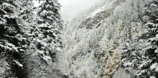 Dân mạng “sôi sục” vì tuyết rơi ở Sapa