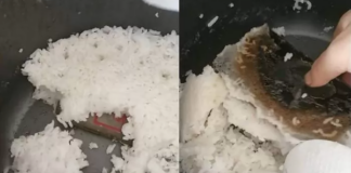 Đãng trí bỏ quên iPhone trong nồi cơm điện rồi nấu chung với gạo, cô gái khiến CĐM kinh ngạc khi khoe thành quả