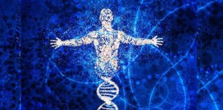 Đâu chỉ gây bệnh, có hàng trăm nghìn tỷ virus đang sống “thiện lành” trong cơ thể chúng ta