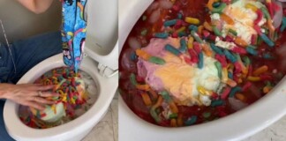 Dùng bồn cầu để làm hỗn hợp đồ uống gồm nước ngọt, kem, kẹo, nữ YouTuber bị cho là nghịch dại, nhận chỉ trích mạnh mẽ