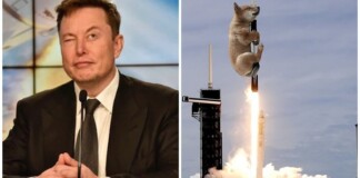 Elon Musk lại “làm phép” trên trang cá nhân, một đồng coin tăng giá tới hơn 1.000% chỉ trong ít giờ
