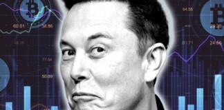 Elon Musk thông báo chia tay Bitcoin, nhà đầu tư tiền số lại ‘toát mồ hôi hột’