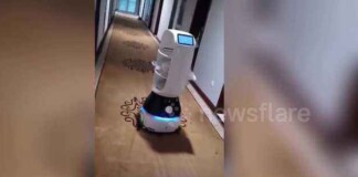 Giữa đại dịch, dân Trung Quốc dùng robot để giao đồ ăn cho người bệnh bị cách ly