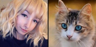 Góc hài hước: Streamer để boss mèo nhai dây điện và cái kết