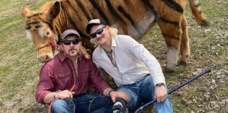 Hài hước hai bác nông dân, cosplay bò thành cọp khiến cộng đồng mạng ngả mũ bái phục, gọi ngay tên “con bọp”