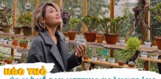 Hảo Thỏ trải lòng về con đường trở thành Top Tik Tok Việt Nam và úp mở về fan meeting hoành tráng