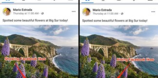 Hình ảnh đầu tiên về Facebook bỏ hiển thị số Like: Không còn khoe mẽ, chỉ hiện vài cái tên trơ trọi