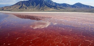 ‘Hồ tử thần’ Natron, nơi bất cứ sinh vật nào sảy chân ngã xuống sẽ bị hóa đá