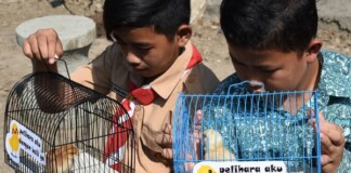 Học sinh Indonesia phải nuôi gà để… cai nghiện smartphone