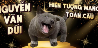 Hot như nhiều idol thật sự, chú chó Nguyễn Văn Dúi trở thành ngôi sao mạng, được yêu thích trên toàn cầu