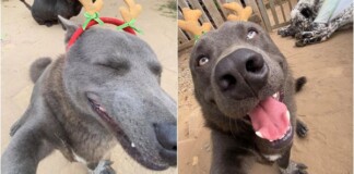 Idol Nguyễn Văn Dúi bất ngờ tái xuất, selfie mừng Noel “bá đạo” khiến CĐM vừa tức vừa buồn cười