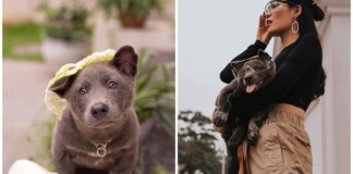 Idol Nguyễn Văn Dúi chuyển nghề làm mẫu ảnh, chẳng những quảng cáo rau củ quả còn lấn sân sang cả thời trang