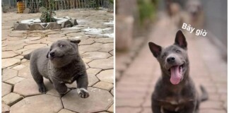 Idol Nguyễn Văn Dúi tung ảnh dậy thì, cộng đồng mạng than thở “Còn đâu thần tượng mắt lác ngày nào”