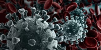 Không chỉ riêng con người, Corona virus còn “tấn công” cả máy tính nữa