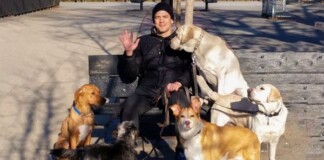 Không có bằng đại học vẫn kiếm hơn 100.000 USD/năm nhờ nghề dắt cún cưng đi dạo