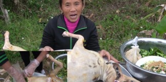 Làm dê nướng nguyên con, bà Tân Vlog bất ngờ bị cộng đồng mạng chỉ trích vì nhiều chi tiết “tàn nhẫn” trong clip