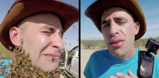 Làm thử thách để 3.000 con ong quây kín mặt, rồi thử “nọc độc” của ong bắp cày, nam YouTuber nhận cái kết đắng ngắt