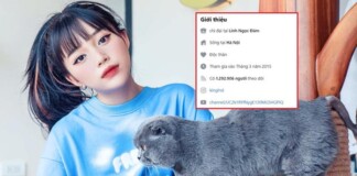 Liên tiếp bị report khiến tài khoản Facebook hàng triệu followers bị khóa, Linh Ngọc Đàm tuyên bố “nghỉ chơi”