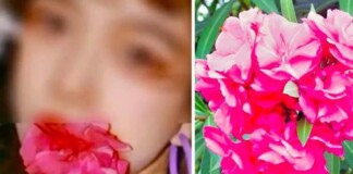 Ngậm hoa “sống ảo” và cái kết đắng của blogger Trung Quốc