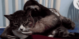 Ngất ngây với loạt ảnh “long nhan hoàng thượng” khi vi hành từ Adorable Home ra ngoài đời thực