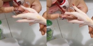 Nghỉ dịch ở nhà, cô gái lôi chân gà ra làm nail cho đỡ “lụt nghề” khiến cộng đồng mạng thán phục