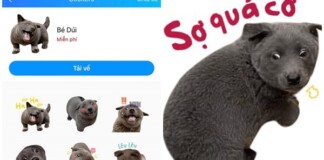 Ngoạn mục như idol Nguyễn Văn Dúi, được lấy cả hình ảnh để làm bộ sticker trên Zalo, fan đòi hỏi “Bao giờ Facebook mới có”