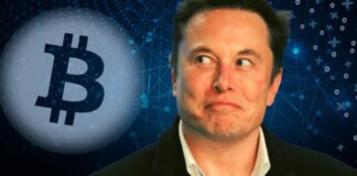 Người dùng Twitter phát hiện ra Elon Musk mua vào 10 nghìn Bitcoin ngay lúc ra tweet “dìm giá”