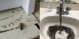 Những bức ảnh ‘phát ra tiếng thét’, nhìn thôi đã thấy bất lực