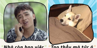 Những câu nói hot trend chất lừ của cư dân mạng 2019