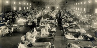 Những sự thật ít người biết về virus: Chúng đến từ đâu, lây lan và gây bệnh như thế nào?