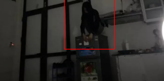 Nửa đêm tỉnh dậy thấy bạn gái leo lên tủ lạnh ngồi, nam thanh niên hoảng sợ, chụp ảnh cầu cứu CĐM